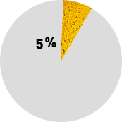 pie graph: 5% of Wisconsin car accidents involved alcohol